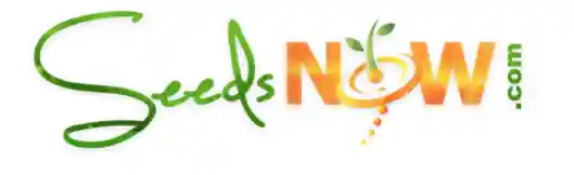 Seeds Now Promotion