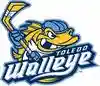 Toledo Walleye Sale: Up To 15% Reduction Toledo Walleye