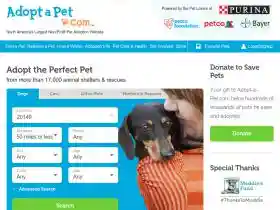 Adoptapet Name Is Rubix From $350