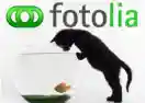 Coupon Code For 10% Off Any Purchase With Fotolia Coupon Code