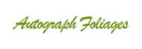 Snatch 20% Saving At Autograph Foliages